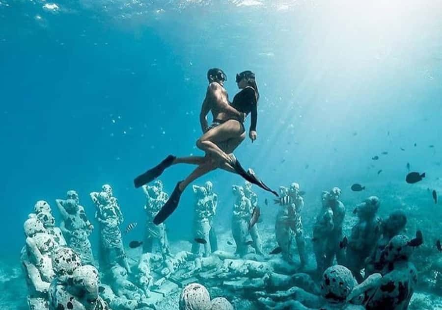 Gili T Island: Gili Snorkeling Day Trip Swim With Turtles - Who will enjoy this half-day outing
