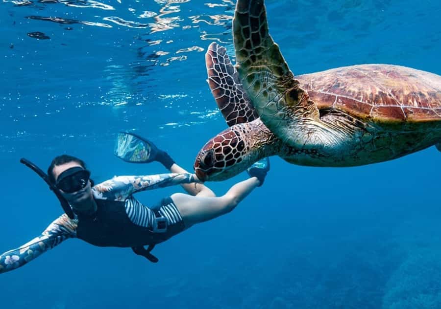 Gili T Island: Gili Snorkeling Day Trip Swim With Turtles - Final call: a budget-friendly turtle trip with sensible limits