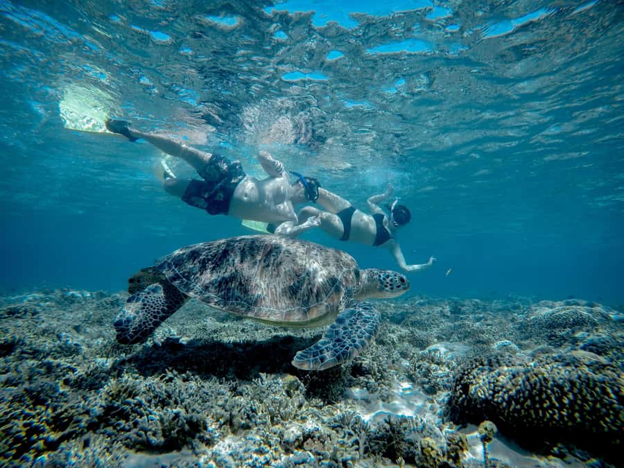 Gili Trawangan : Half Day Snorkeling with Turtle and Statue - The route from Gili Trawangan to three underwater sites