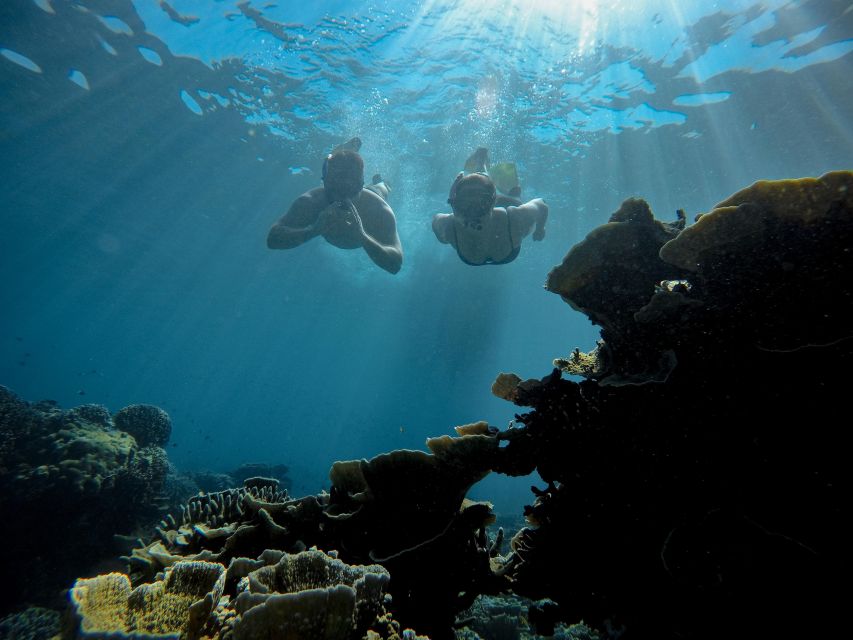 Gili Trawangan : Half Day Snorkeling with Turtle and Statue - Cancellation and booking flexibility