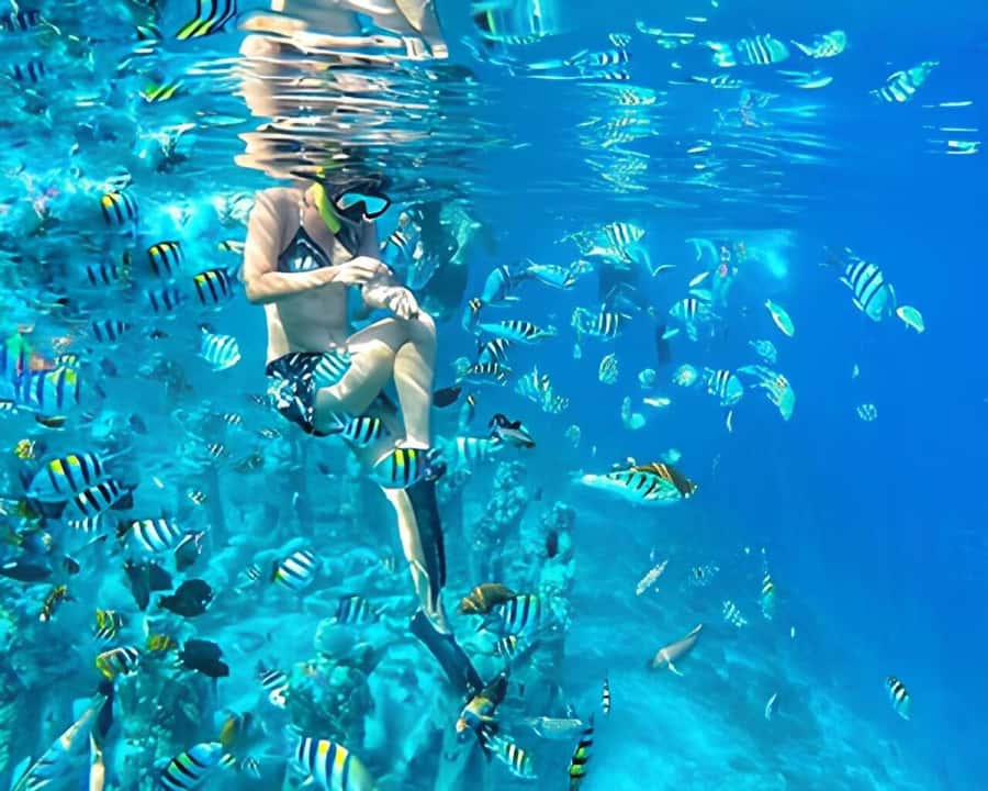 Gili Trawangan: Private Snorkeling 4 Spots Turtle with Gopro - The Meno Statue is the most famous stop