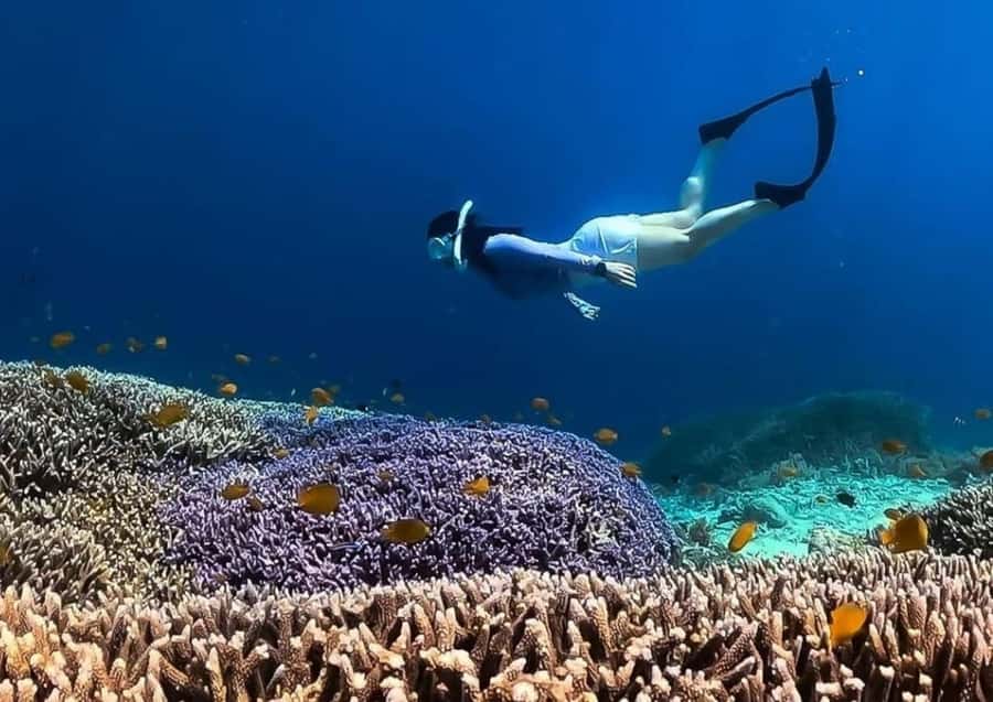 Gili Trawangan: Private Snorkeling 4 Spots Turtle with Gopro - Turtle Point rewards patience and good timing