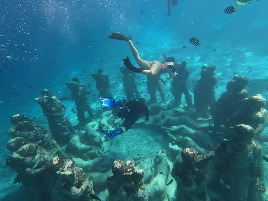 Gili Trawangan: Private Snorkeling 4 Spots Turtle with Gopro - Blue Coral and Coral Garden show the natural side of the trip