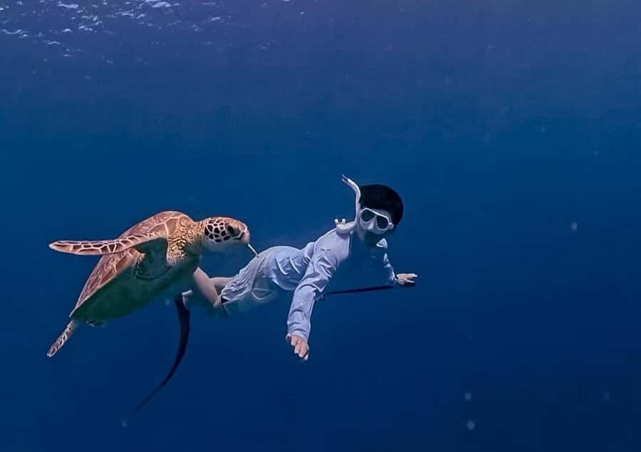Gili Trawangan: Private Snorkeling 4 Spots Turtle with Gopro - A guide in the water makes the GoPro worthwhile