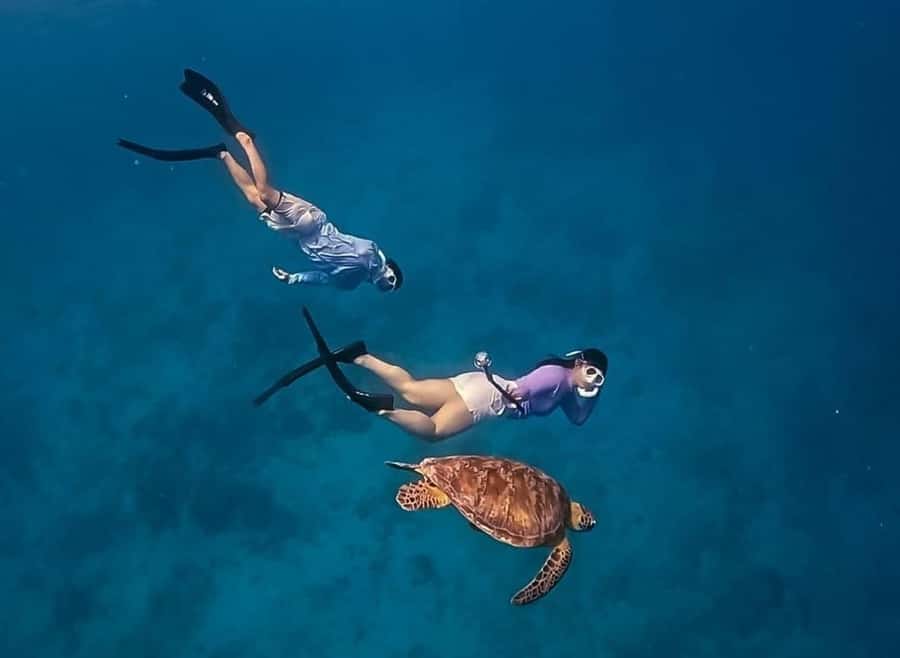 Gili Trawangan: Private Snorkeling 4 Spots Turtle with Gopro - The private boat gives you more control