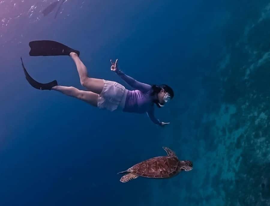 Gili Trawangan: Private Snorkeling 4 Spots Turtle with Gopro - Lunch on Gili Meno is a pause, not an included meal