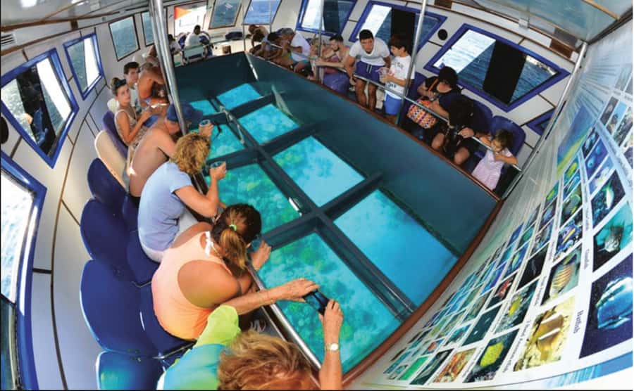 Glass Boat & Snorkeling with day use of Berenice Beach Club - Quick points to know
