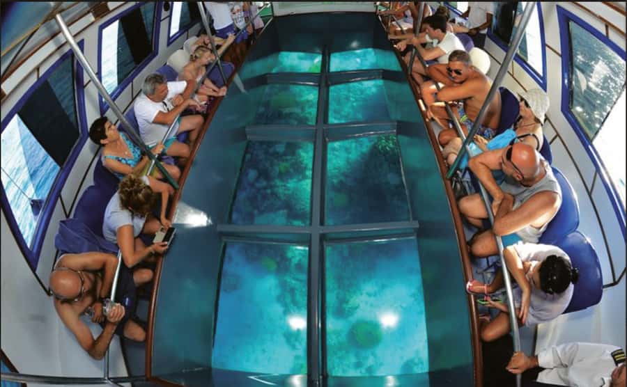 Glass Boat & Snorkeling with day use of Berenice Beach Club - What the $35 experience actually includes