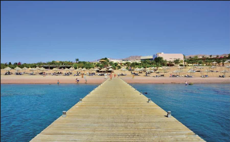 Glass Boat & Snorkeling with day use of Berenice Beach Club - One hour above Aqaba’s coral reefs