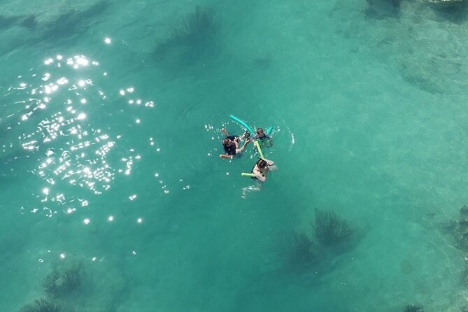 Glass Bottom Boat and Snorkeling Combo in Bermuda - Key points to know before you book