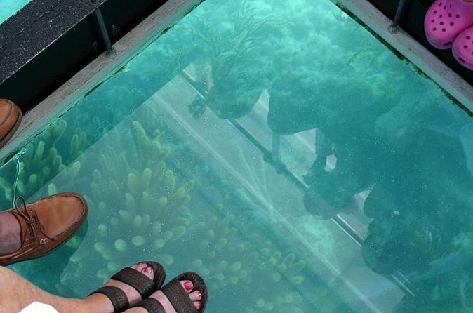 Glass Bottom Boat and Snorkeling Combo in Bermuda - What rough weather can change