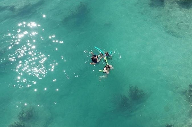 Glass Bottom Boat and Snorkeling Combo in Bermuda - The crew can make or break the three hours