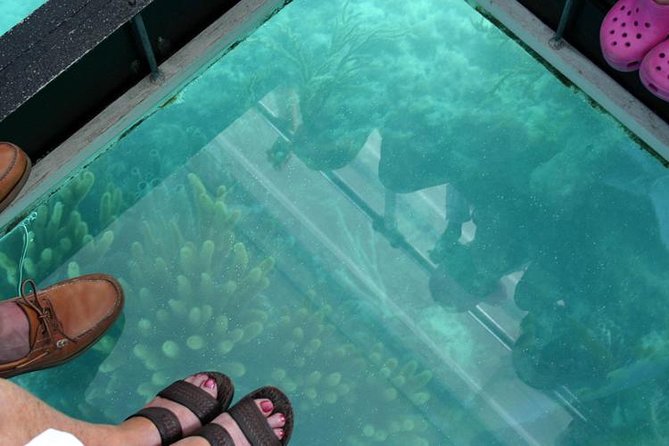 Glass Bottom Boat and Snorkeling Combo in Bermuda - Is $105 a fair price?