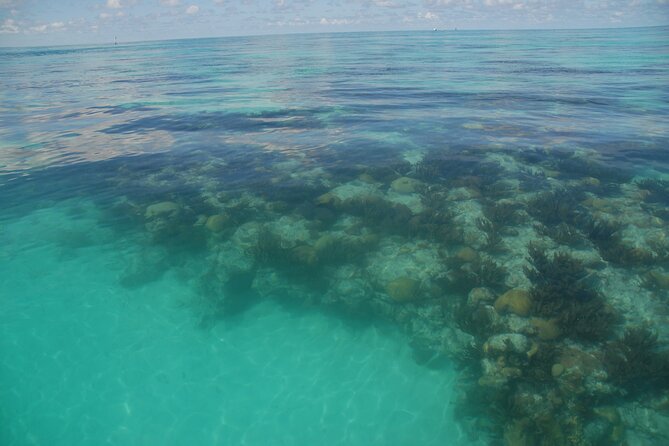 Glass Bottom Boat and Snorkeling Combo in Bermuda - Who should choose this Bermuda excursion?