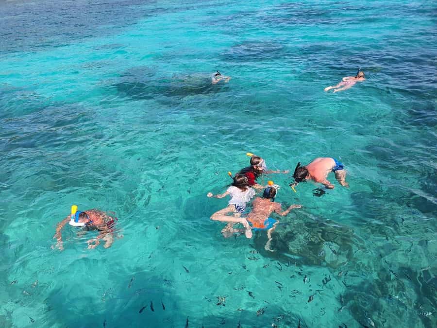 Glassbottom boat & Crystalkayak SteAnneMarinePark Snorkeling - The second and final snorkeling stop