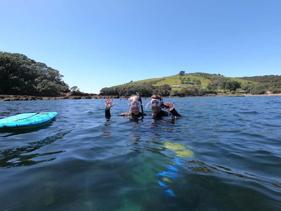 Goat Island Guided Snorkeling Tour for Beginners - Why Goat Island works for first-time snorkelers