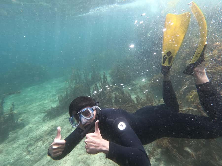 Goat Island Guided Snorkelling Tour For Advanced - Key points to know before booking