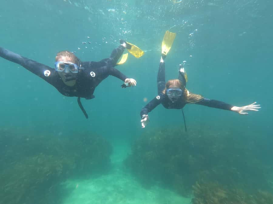 Goat Island Guided Snorkelling Tour For Advanced - Why this Goat Island snorkel tour is different