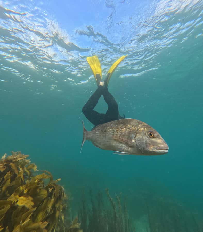 Goat Island Guided Snorkelling Tour For Advanced - What the 150-minute duration feels like