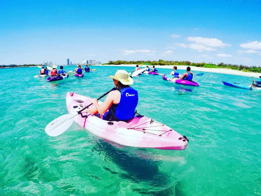 Gold Coast: Kayaking and Snorkeling Guided Tour - Watching for dolphins on the way to Wavebreak Island