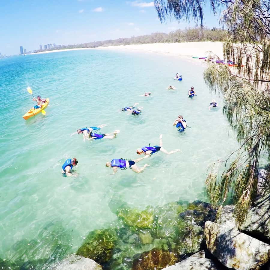 Gold Coast: Kayaking and Snorkeling Guided Tour - Snorkeling among sub-tropical fish