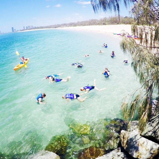 Gold Coast: Kayaking and Snorkeling Guided Tour - Preparing for weather, clothing, and comfort