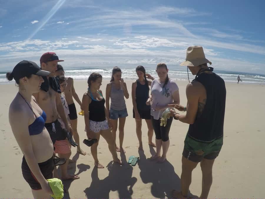 Gold Coast: Kayaking and Snorkeling Guided Tour - Who will enjoy this two-hour Gold Coast tour
