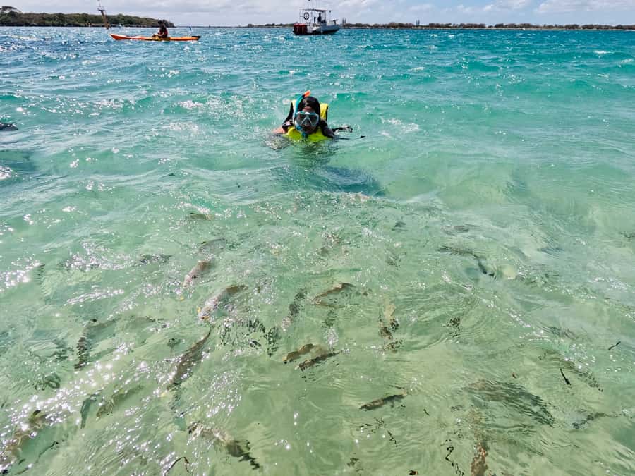 Gold Coast: Kayaking and Snorkeling Guided Tour - FAQ