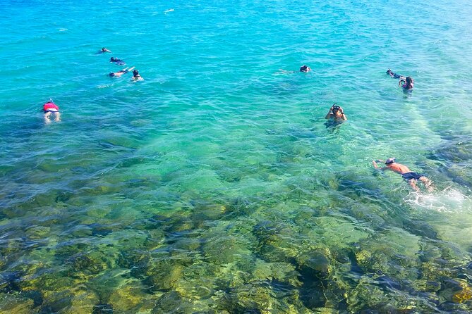 Gold Coast Kayaking & Snorkelling Tour (2.5 Hours) - A Short Paddle Into the Broadwater