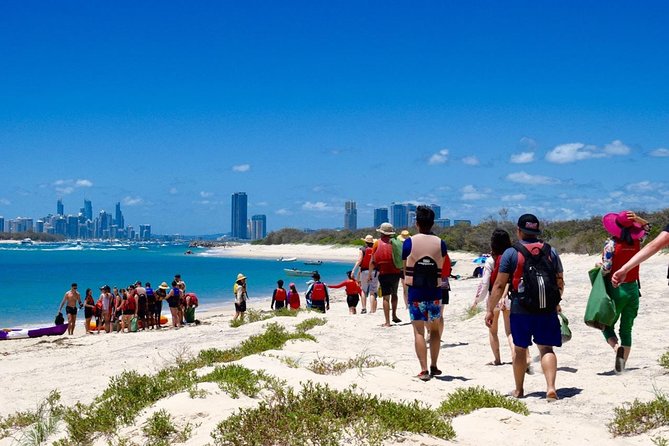 Gold Coast Kayaking & Snorkelling Tour (2.5 Hours) - Who Should Book This Gold Coast Tour?
