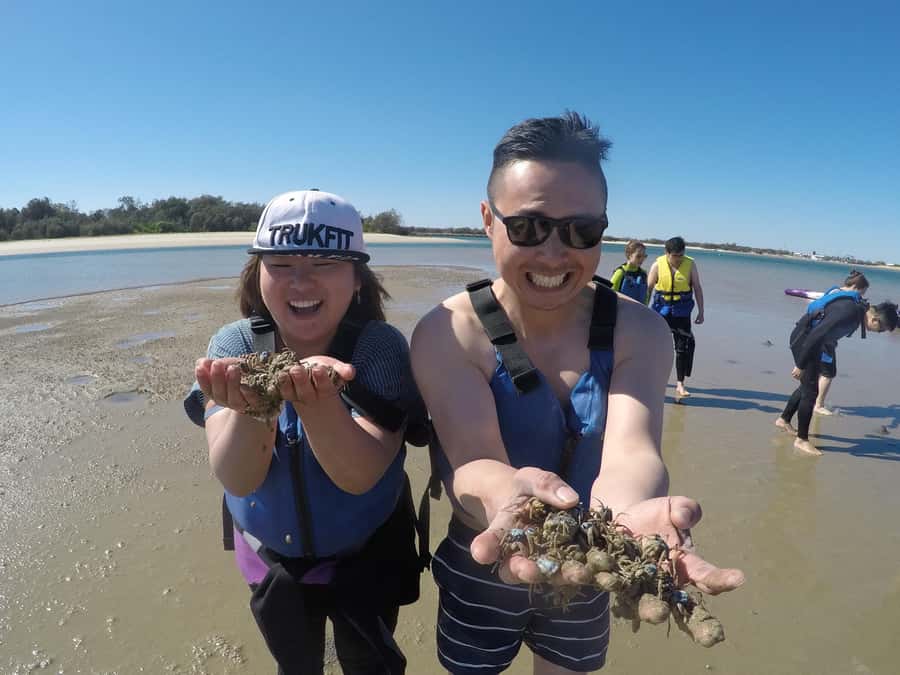 Gold Coast: Kayaking & Snorkelling Tour with Fish Feeding - How this compares with a standard Gold Coast attraction
