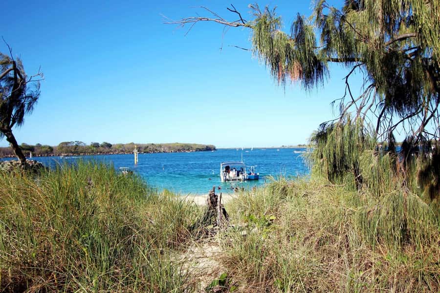 Gold Coast: Snorkelling in Wave Break Island - What Makes Wave Break Island Special