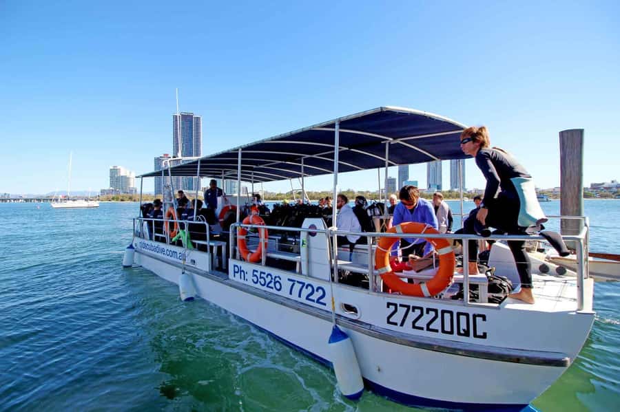Gold Coast: Snorkelling in Wave Break Island - From the Gold Coast to the Island