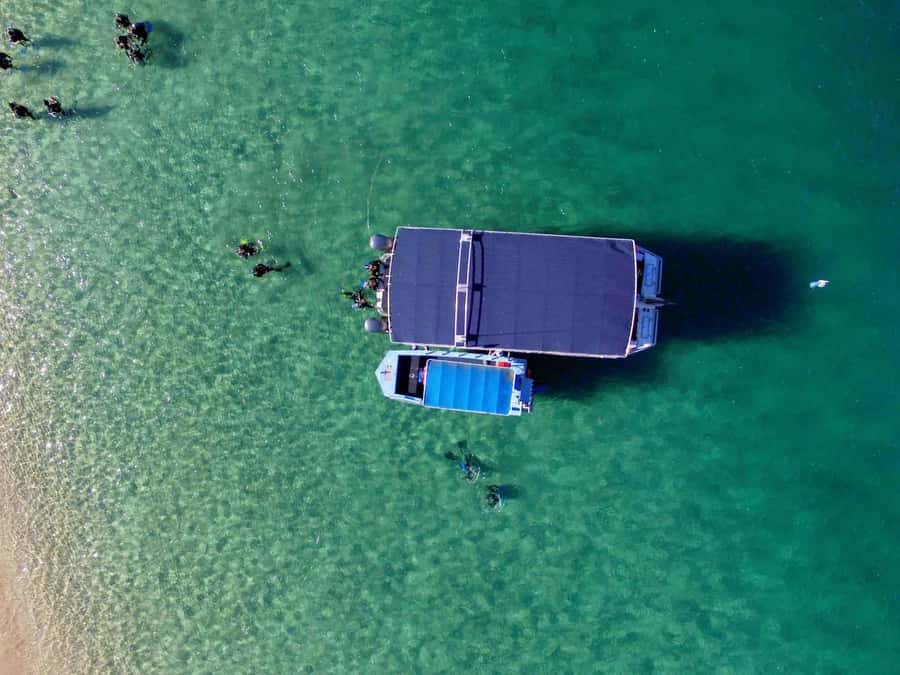 Gold Coast: Snorkelling in Wave Break Island - The Boat Ride and Wave Break Landing
