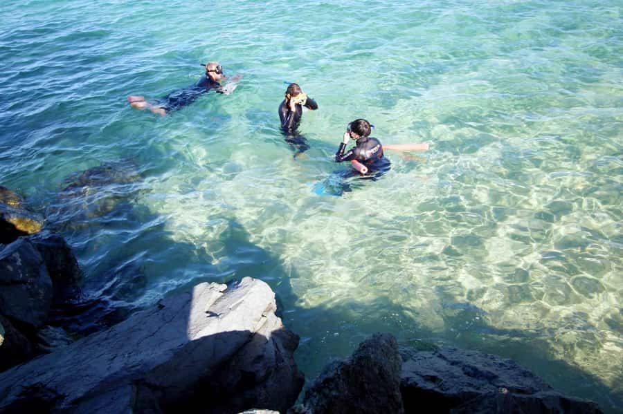 Gold Coast: Snorkelling in Wave Break Island - Getting Fitted for Fins and a Mask