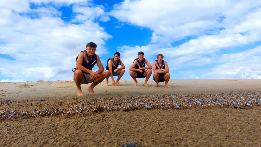 Gold Coast: Wave Break Island Kayaking & Snorkeling tour - Practical tips for a smoother trip