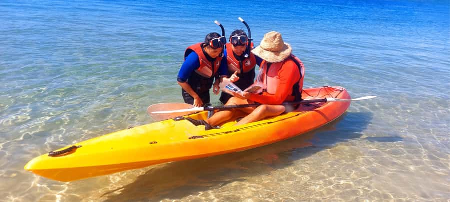 Gold Coast: Wave Break Island Kayaking & Snorkeling tour - From Biggera Waters to the Broadwater