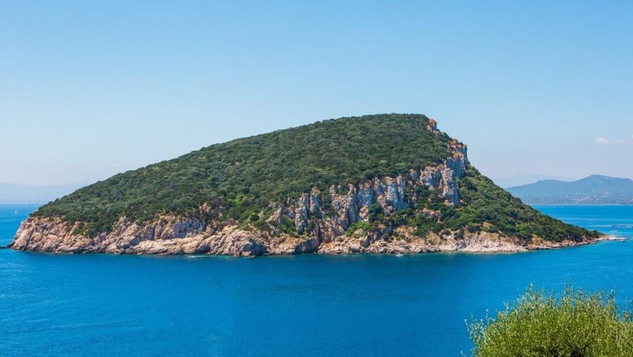 Golfo Aranci: Dolphin Watching and Snorkeling Boat Tour - Looking for dolphins in their own waters