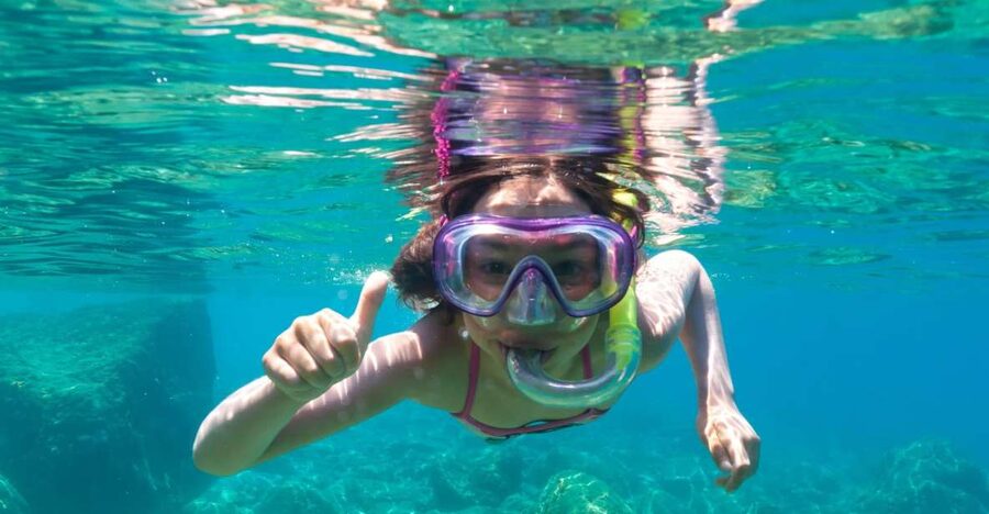 Golfo Aranci: Dolphin Watching and Snorkeling Boat Tour - Cala Greca and the first chance to swim