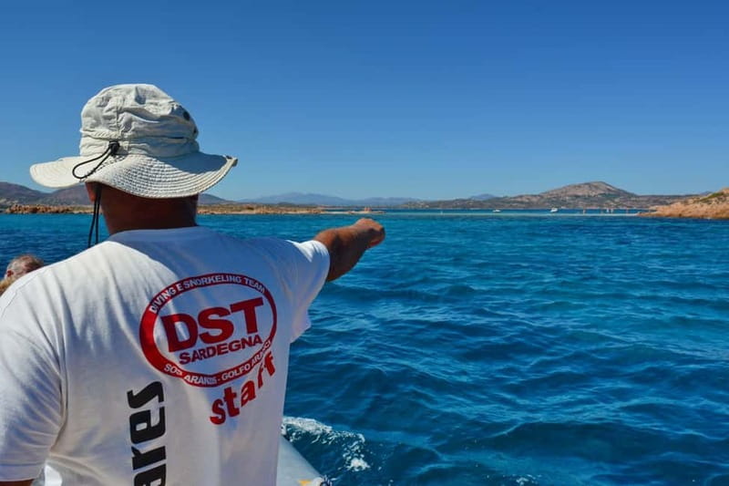 Golfo Aranci: Tavolara and Molara Snorkeling Dinghy Tour - Swimming around the Chrisso wreck