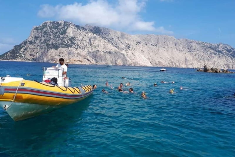 Golfo Aranci: Tavolara and Molara Snorkeling Dinghy Tour - Who should book this tour