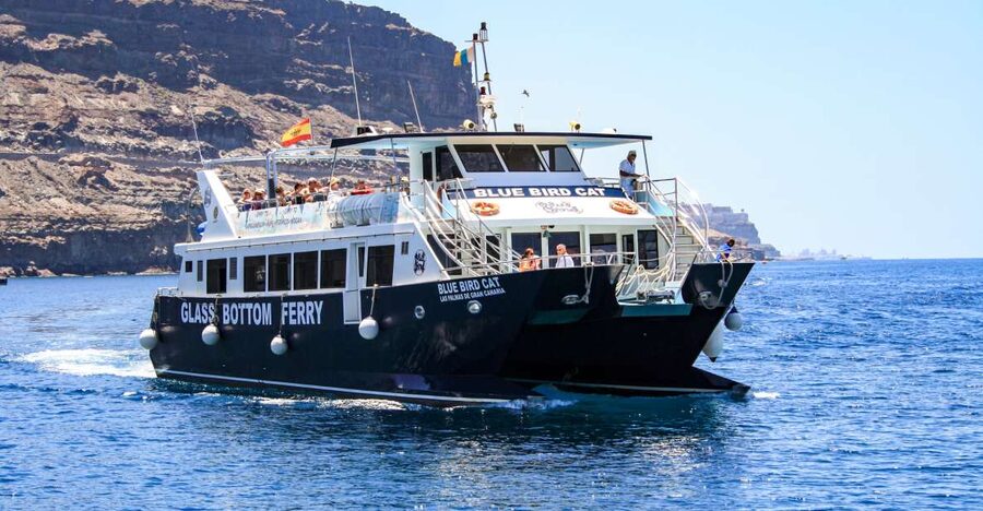 Gran Canaria: Catamaran Dolphin Watch Cruise with Snorkeling - Setting out from Puerto Base in Puerto Rico