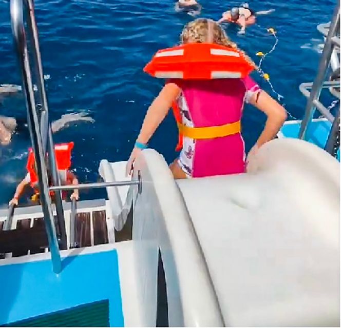 Gran Canaria: Catamaran Dolphin Watch Cruise with Snorkeling - The Taurito swim stop and onboard slide