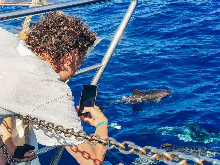 Gran Canaria: Catamaran Dolphin Watch Cruise with Snorkeling - A catamaran that works well for mixed groups
