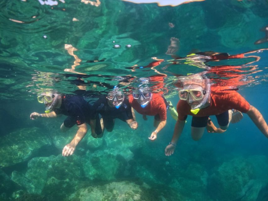Gran Canaria: Snorkel tour with boat on the west coast - Setting Out From Puerto de Mogán