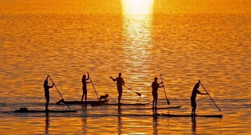 Gran Canaria: Stand-Up Paddle Lesson & Snorkeling Tour - What the instructors add to the experience