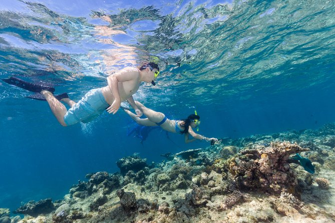 Great Barrier Reef Snorkeling and Diving Cruise from Cairns - First water session at Saxon or Norman Reef