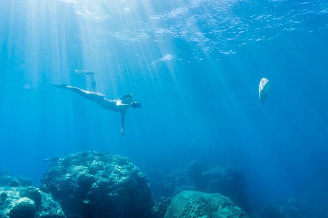 Great Barrier Reef Snorkeling and Diving Cruise from Cairns - Barbecue lunch with plenty of choice