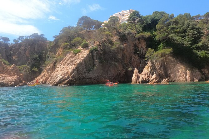 Guided Kayak & Snorkel tour to Costa Brava: Small Group and Lunch - Free time on the beach after the active part