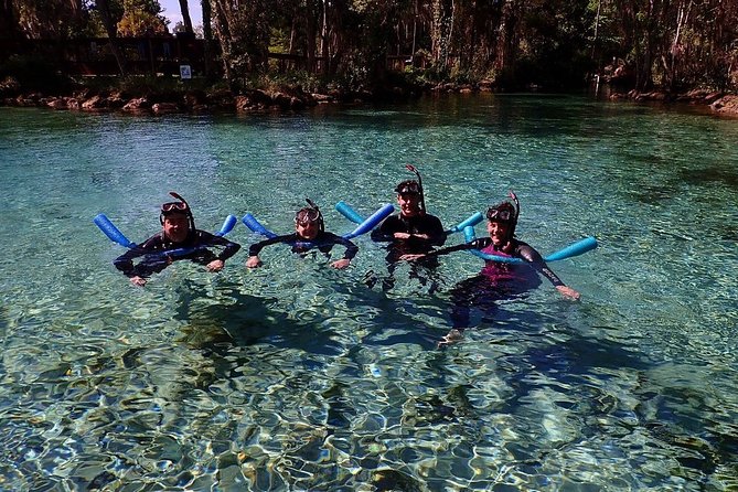 Guided Small Group Manatee Snorkeling Tour with In-Water Photographer - The short video and safety briefing set the tone